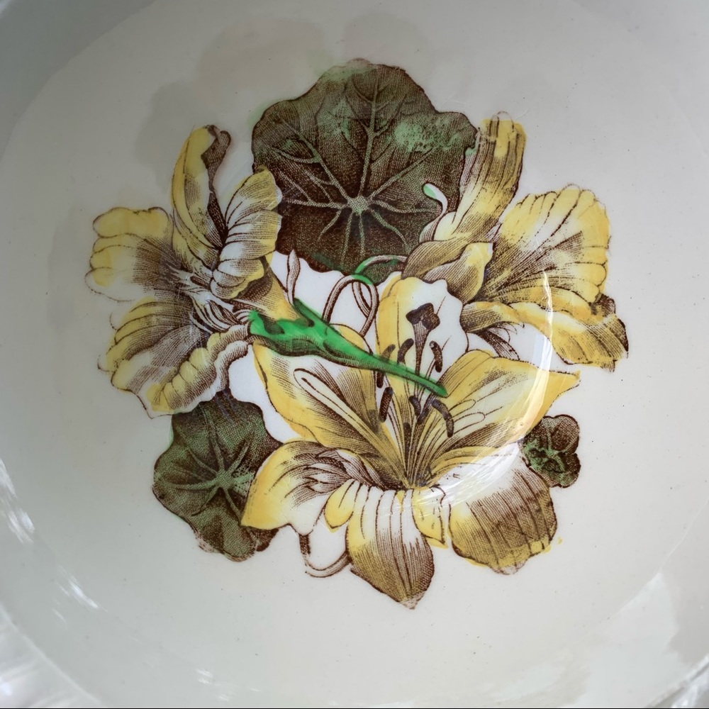 2 X Johnson Brothers Nasturtium Old Flower Prints - Picture 3 of 15